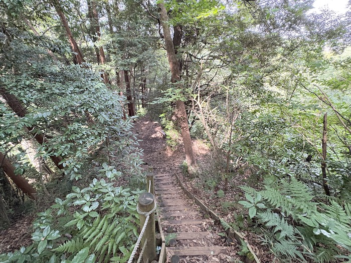 広町緑地内の山道